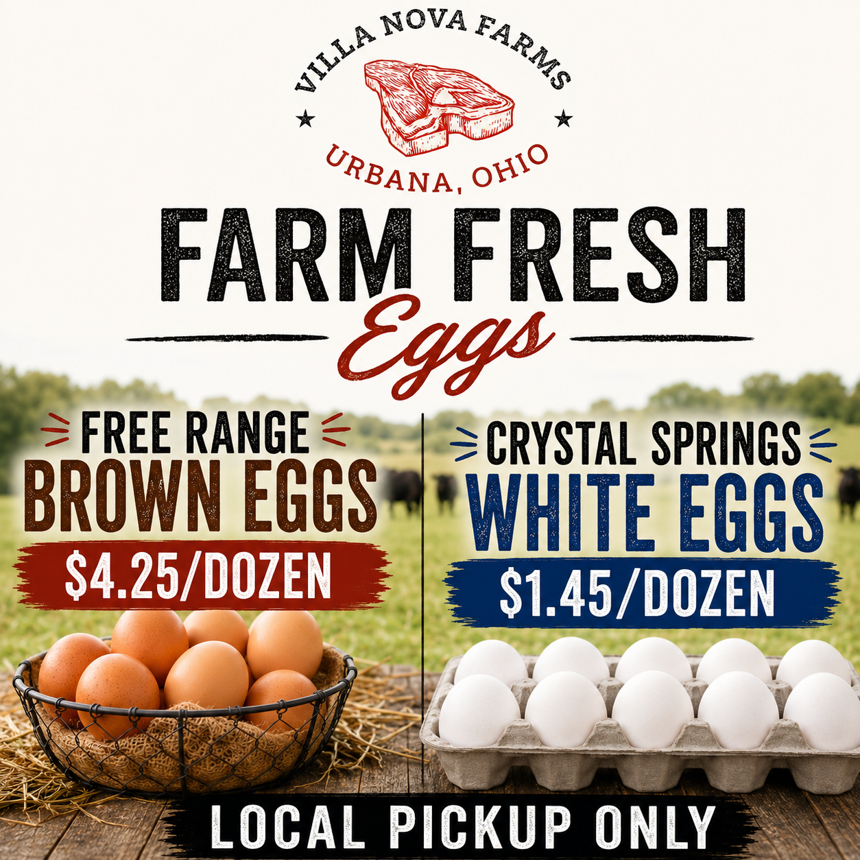 Farm Fresh Eggs