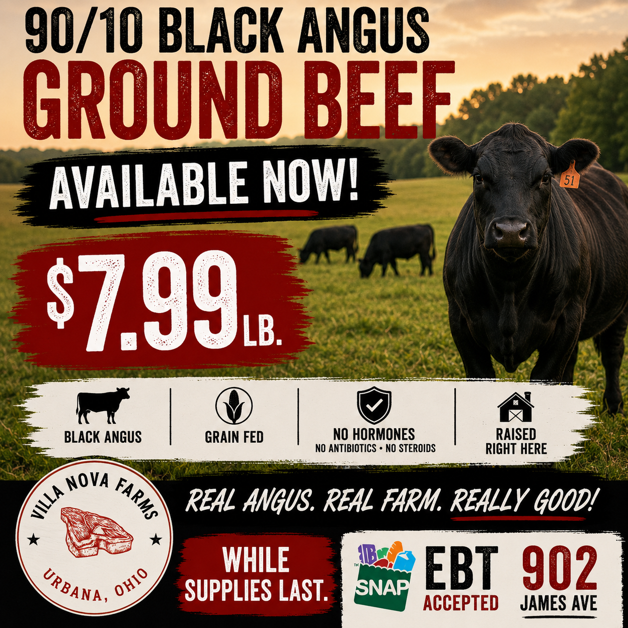 90/10 Ground Beef - Local Pickup Only