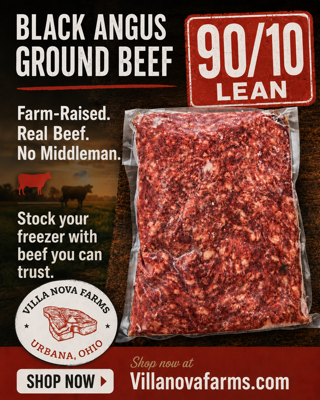 90/10 Ground Beef Box - Local Pickup